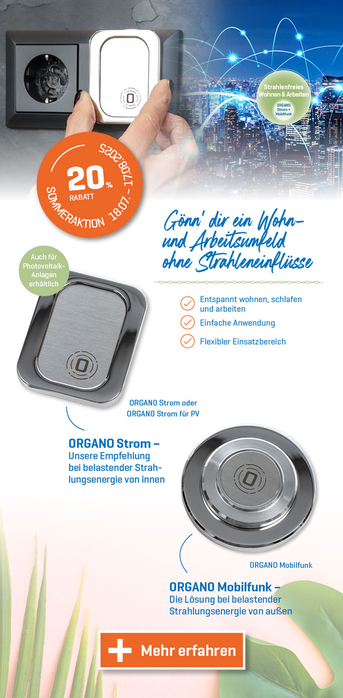 Imagebild für Sommeraktion 2025 Strom und Mobilfunk
