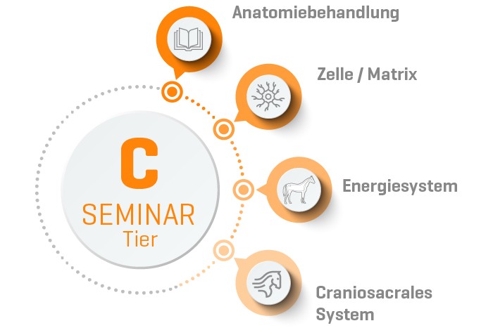 ORGANETIK Tier Seminar C