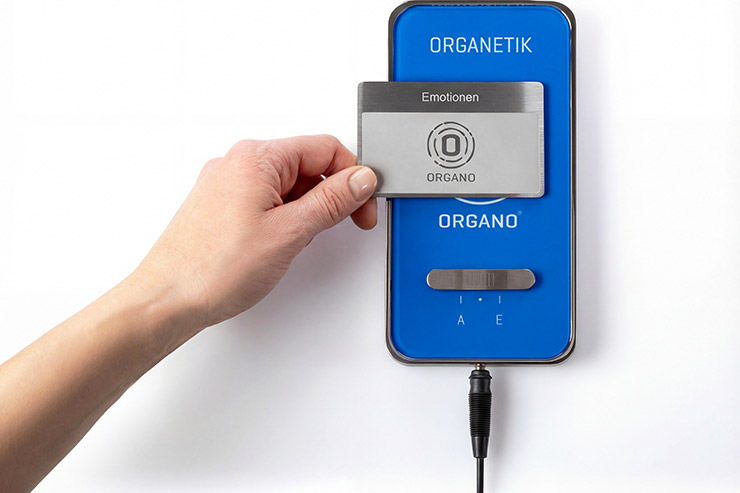 Programmkarten anwenden mit Organetik