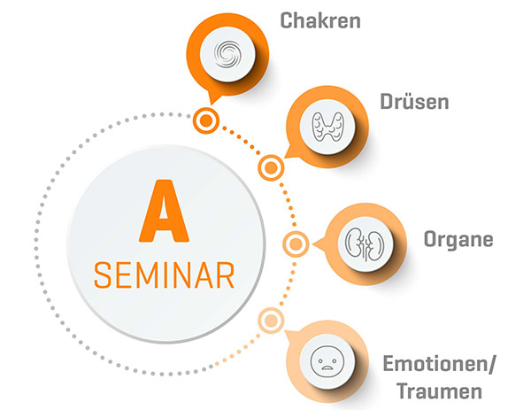 Seminarinhalte Seminar Mensch A