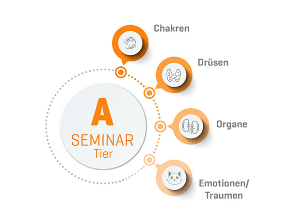 Seminarinhalte Tier A